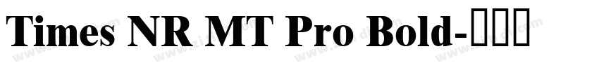 Times NR MT Pro Bold字体转换